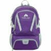 Daypack Backpack Purple/Gray